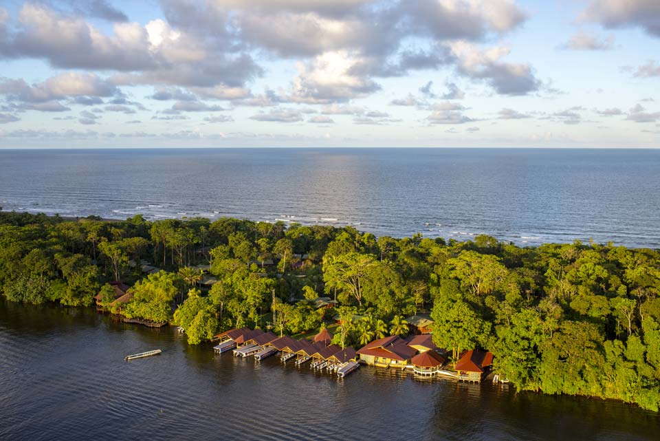 Una noche en Tortuguero